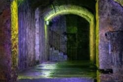 Offering a spooky treat every night at 11.55pm, A n Introduction to Professional Ghost Hunting takes the audience on a journey into the paranormally active 18th-century South Bridge Vaults, with stories of the infamous former slum, frequented by the destitute, prostitutes, criminals, witches and a Hellfire Club.