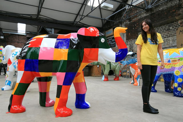 A special preview evening of the Herd of Sheffield which launches on Monday July 11th around the streets of Sheffield. Pictured is Megan Barnsley. Photo: Chris Etchells