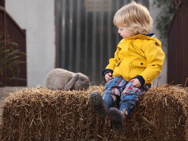 White Post Farm in Farnsfield is always a delightful place to take the kids - and particularly so on Saturday when it hosts 'The Christmas Time Tangle', a festive, interactive journey to the North Pole and a meeting with Santa. It lasts about an hour and is also scheduled for certain dates in December.