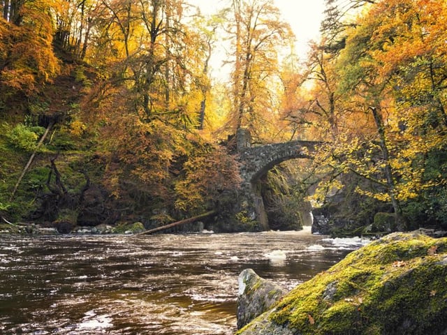 The Hermitage in Dunkeld is a National Trust for Scotland protected site and is home to giant Douglas firs - which are among the tallest trees in the UK - and the dramatic Black Linn Falls. During autumn, the woodlands along the banks of the River Braan are rich in earthy colours, and you may even see red squirrels jumping among the treetops or salmon leaping up the falls as they head further along the river (Photo: Shutterstock)
