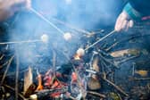 Bushcraft is a survival activity that you can learn at the centre.