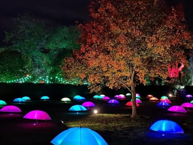 The illuminated trail in the stunning grounds of Rufford Abbey Country Park is something to behold. Sip mulled wine or hot chocolate as you discover sparkling installations among the romantic ruins and throughout the beautiful gardens. Hurry, though, because the Spectacle Of Light attraction's final day is this Sunday.