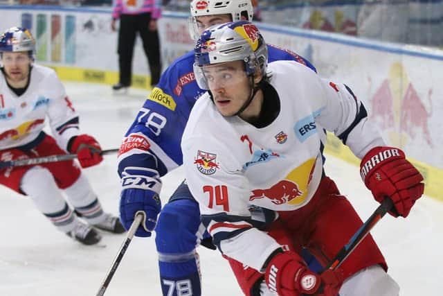 Young Austrian forward Nico Feldner has been drafted in on loan to help injury-ravaged Sheffield Steelers.
