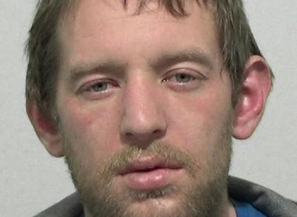 Richardson, 31, of Ridley Terrace, Hendon, Sunderland, was jailed for 24 weeks at South Tyneside Magistrates' Court after admitting two counts of thefts - including Christmas trees - and fraud by false representation on November 16.