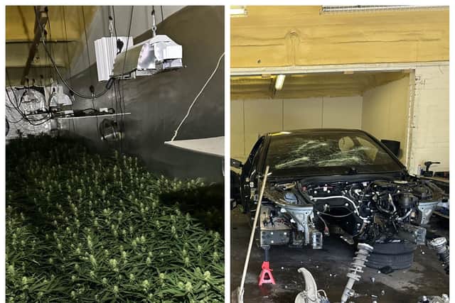 Police find stolen vehicles and cannabis plants in Doncaster 'chop shop'