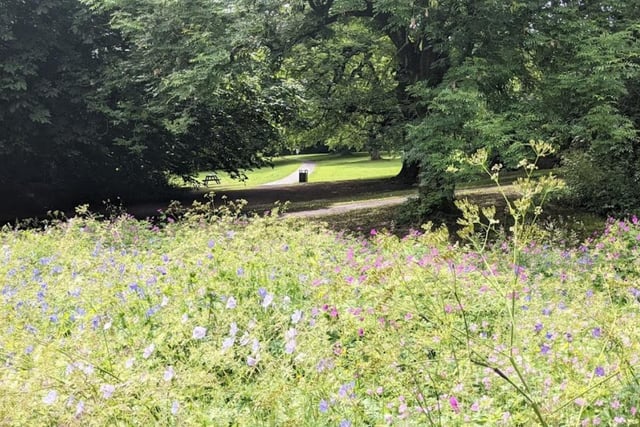 Chelsea Park, 84 Chelsea Road, Nether Edge, Sheffield, S11 9BR. A peaceful park with plenty of room for walkers and people wanting to picnic - tranquility isn't often as pure as this.
