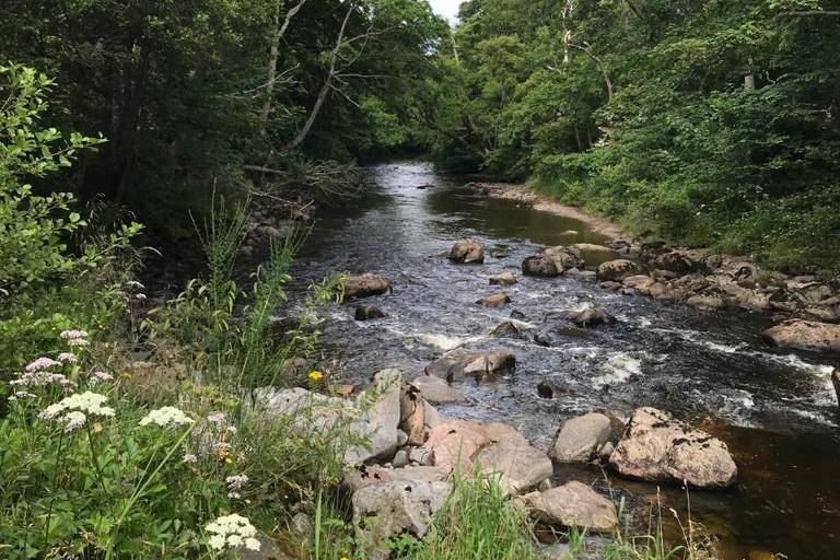 Over 0.5 kilometre of the River Nairn is owned by the property for sea trout and salmon fishing from a number of pools.