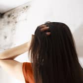 Louise Haigh has urged Sheffield Council to improve social housing as she is inundated by constituents living in life-threatening damp and mould.