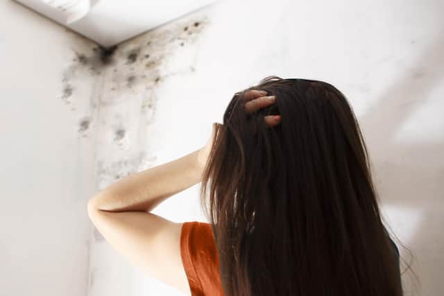 Louise Haigh has urged Sheffield Council to improve social housing as she is inundated by constituents living in life-threatening damp and mould.