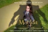 Matilda the Musical opens at the Hollywood Plaza in Scarborough on Friday November 25