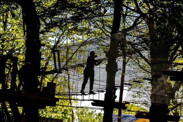 If your mum is a little more adventurous you might want to try Go Ape in Sherwood Pines.
