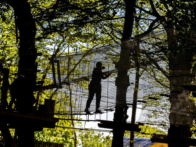 If your mum is a little more adventurous you might want to try Go Ape in Sherwood Pines.