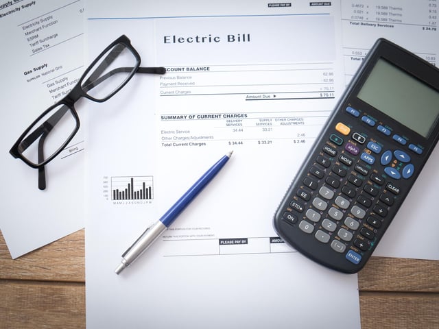 The next biggest expense claimed by Mr Goodwill was £175.81 on electricity utilities.