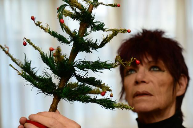 Valarie Taylor with one of the oldest Christmas trees in the country. 2014.