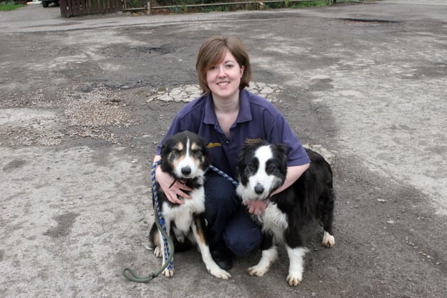In 2009 the RSPCA was flooded with old dogs   l to r Jack, Jane Strauther, and Meg