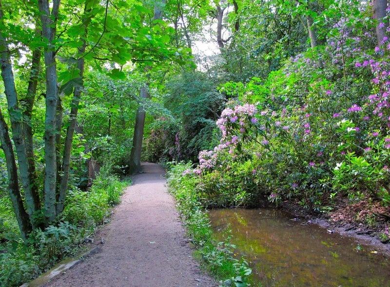 This linear green vein of the city is perfect for a multi-terrain trek. The section through The Hollies is a highlight for its streams and deep woods. Just a short hop away is The Myrtle Tavern, which arguably boasts the best dog-friendly beer garden in Leeds.