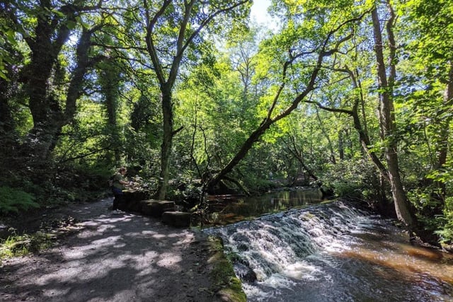 The picture-esque Rivelin Valley is at its most idyllic in the summer, but it's a feast for the senses all year round. It's a great place to bring your dog, too.
