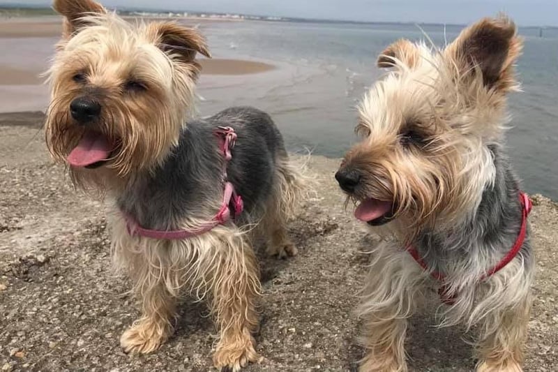 Freya and Sofi, both age 11, enjoy some sea air!