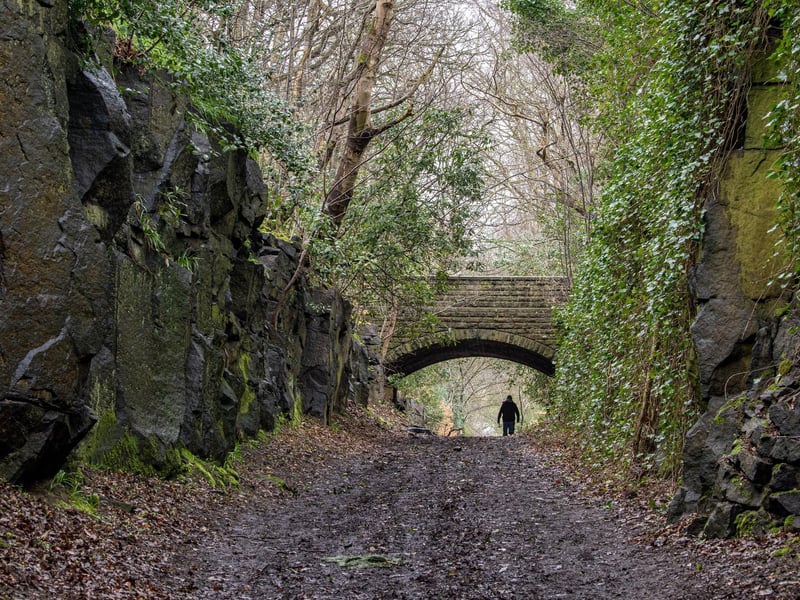 Calverley Cutting in Calverley Woods. It was formed to lead to a development of luxury houses in the 1850s but the project never materialised.