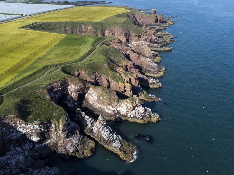 With gorgeous cliffs and blue seas, Arbroath is a former royal burgh and the largest town in the council area of Angus and offers us lots to do for visitors.