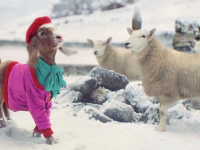 The TK Maxx advert shows a goat strutting along wearing a bright, but fabulously stylish outfit. In a nearby farmhouse, it’s revealed that the farmer bought it for the goat to wear. He explains to his wife that the goat deserves it after a “tough year.” The advert’s tagline is, “Everyone deserves great gifts this season” (Photo: TK Maxx)