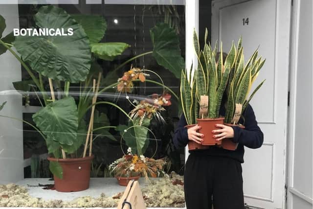 After establishing its first site in Glasgow's southside two years ago, Apercu recently branched out into Edinburgh's west end - opening their new store in Haymarket this August. Here you'll find a flourishing range of cacti and succulents, terrariums and small to giant houseplants. This houseplant haven also offers up pots, accessories and even Marimo moss balls (the adorable spherical balls of algae hailing from Japan), meaning there is always something for every curious customer.
14 Haymarket Terrace, Edinburgh EH12 5JZ