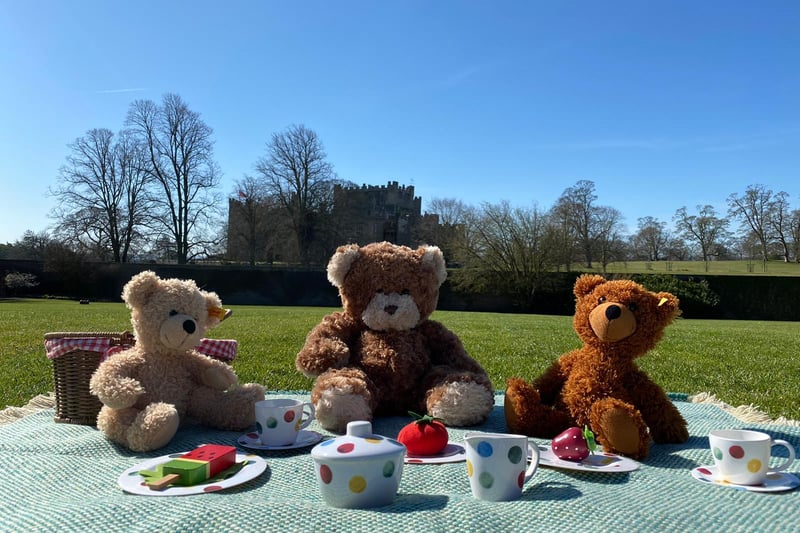 If you fancy going further afield, Raby Castle, one of England’s finest Medieval castles, is bringing a big surprise to visitors to its grounds this half term, with its very own Teddy Bears’ Picnic trail. Taking place between Saturday 29th May and Sunday 6th June, Raby Castle is encouraging everyone, including the young and young-at-heart, to bring their favourite teddy bear with them and enjoy a picnic* in the 200-acre Deer Park, which is home to two species of deer; Red Deer, the largest British wild land mammal, and the smaller Fallow Deer. For those who relish an adventure, the Teddy Bears’ Picnic trail will be taking place in the Walled Garden at Raby Castle. Featuring a complimentary activity sheet included in the price of admission, there will be 11 boards for children to find, with each board hiding a secret letter to spell out the name of a teddy bear’s favourite game. Children who solve the puzzle will be rewarded with a prize. For further information, and to book tickets, visit: www.raby.co.uk/raby-castle