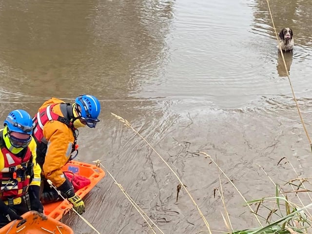 Specialist equipment was used to help reach Bob.