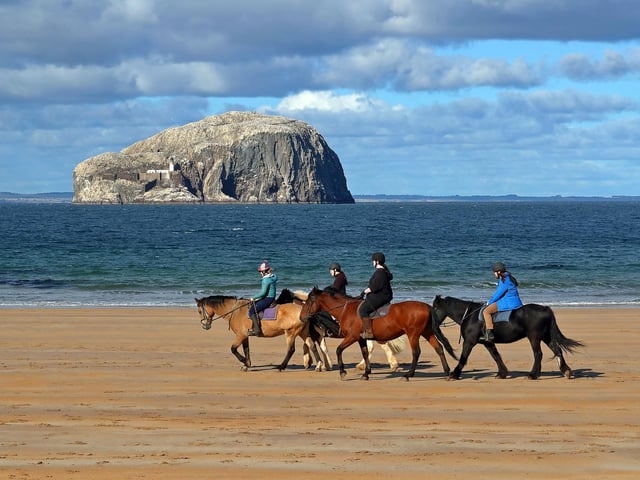 Horse riders at Seacliff Beach with the Bass Rock in the background on a lovely late September afternoon.

