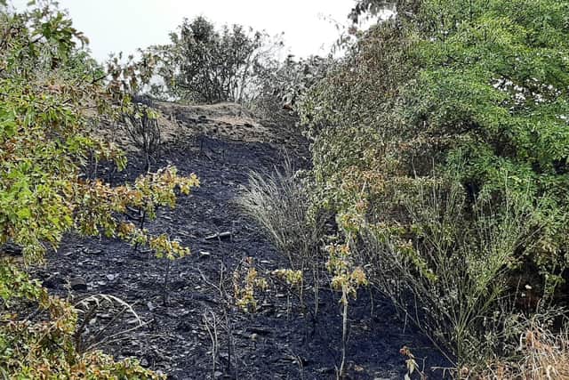 The old Sheffield Ski Village site was damaged by yet another fire on Wednesday, August 31. This photo shows the aftermath of a previous blaze at the site.