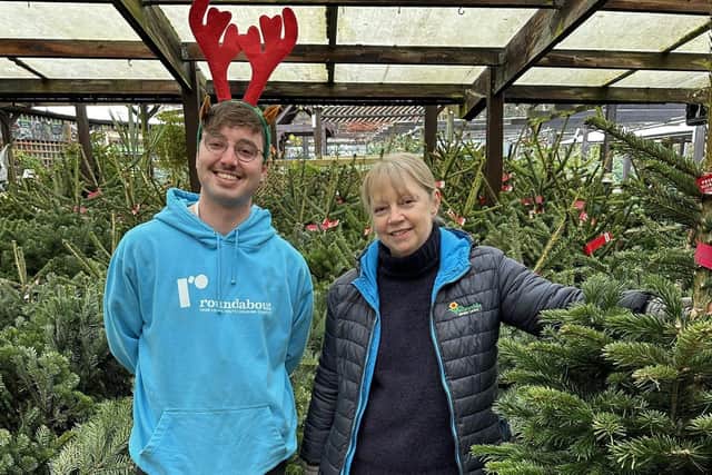 South Yorkshire businesses have donated trees to make Christmas special for Roundabout