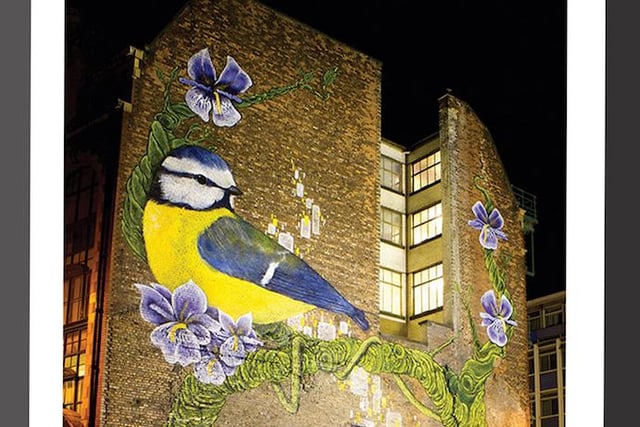 Local freelance artist Sarah Yates is Faunagraphic and responsible for wall murals across Sheffield and the UK. 
Her works are influenced by nature, particularly birds. The colour green is a common feature. But perhaps most recognisable is the 42ft mural of Harry Brearley she sprayed on Howard Street next to Sheffield Hallam University.
Now you can buy prints.
https://www.faunagraphic.com/shop/?