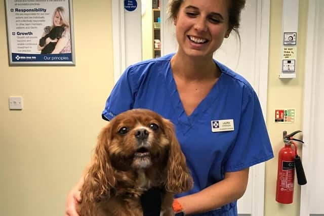 Laura Paterson, group clinical director at White Cross Vets, said they have seen more dogs than ever before suffering from vomiting and diarrhoea since the start of the year.