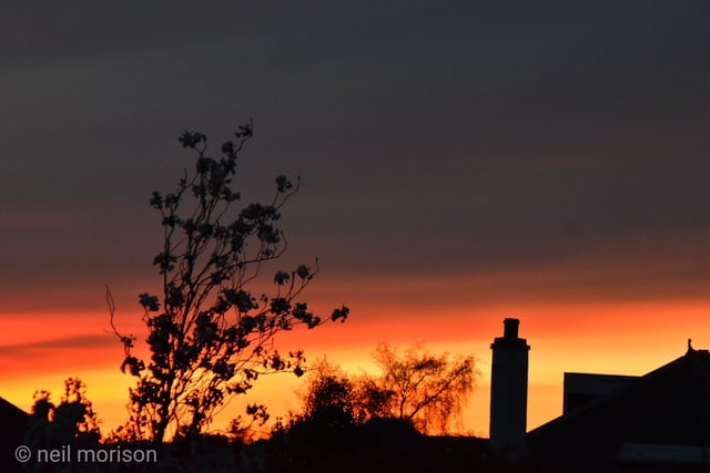 The foreground shows up nicely against the sunset colours - taken from Neil Morrison's garden in Corstorphine.