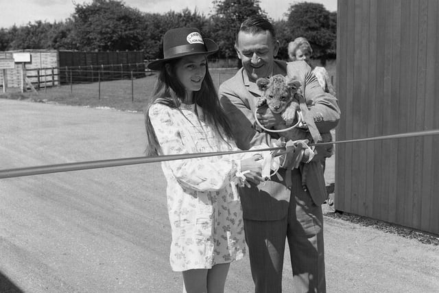 The Hon Isobella Lambton cuts a tape to mark the official opening of Lambton Lion Park in July 1972.