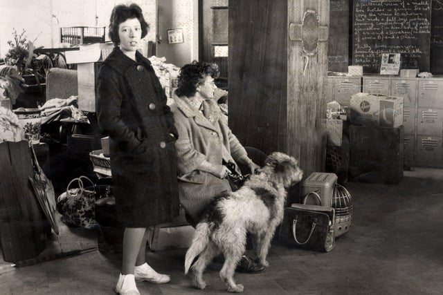 Misery of the homeless - Mrs E Hallam, of Errington Avenue, Arbourthorne, and her 15-year-old daughter Pamela, with their dog Rover, find refuge for themselves and their belongings in Hurlfield Boys School,  February 16, 1962.