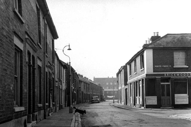 Looking south down Seymour Street to Buckland Street, Buckland with North Cross Street. Picture: Mick Cooper collection.