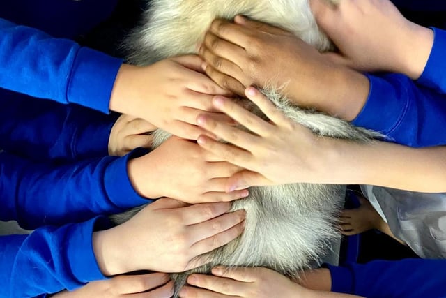 Thunder is also a schools support dog - and the kids love him