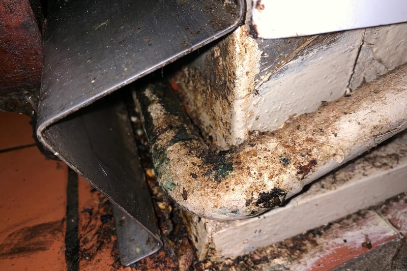 Sunderland City Council says rat fur was found stuck to the grease on the gas pipe casing inside the building.