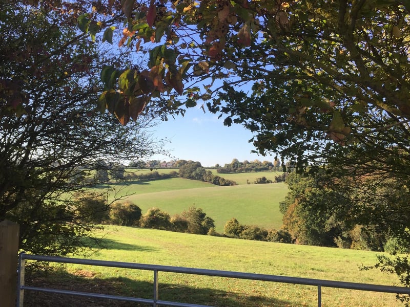 You will be welcomed by a committee of horses, dogs and chickens, to make sure you feel at home.