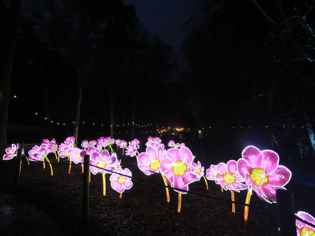 A spectacular light and lantern festival created some dazzling Christmas magic as the award-winning Yorkshire Wildlife Park unveiled the Winter Illuminations trail today. Picture: Chris Etchells
