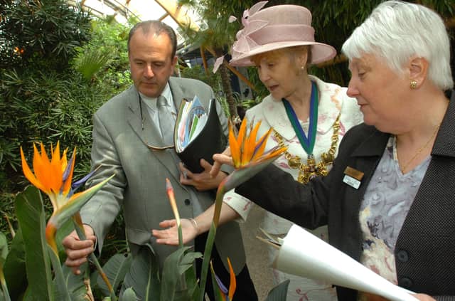 Memories of the Winter Gardens