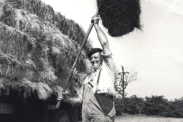 Farmer John Barratt of Dodworth gathers in the June hay crop, which was a month late, in the heatwave on July 20, 1972