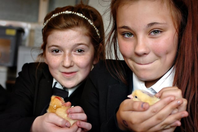 Year 7 pupils Lucy Milnthorp and Brooke Maddison, right, with two of the day old chicks which hatched at the school 9 years ago.