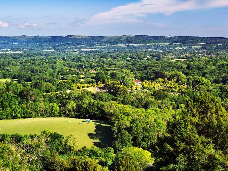 The sixth most common place people left the area for was East Hampshire, with 441 departures in the year to June 2019. Pictured is The South Downs National Park from Shoulder of Mutton Hill in the Hangers Way.