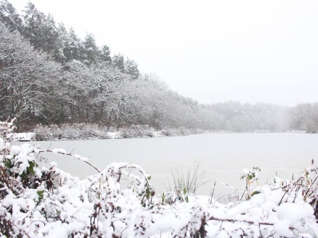 Gary Norman sent in this winter wonderland scene of Sherwood Fishery.