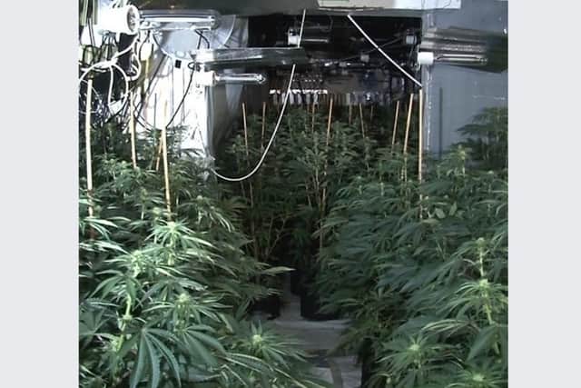 A man has been arrested and around £100,000 worth of drugs seized after a drugs raid on a ‘factory’ on a street in Heeley, Sheffield. South Yorkshire Police