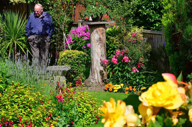 Winner: A great photo from Nick Rhodes. His dad in a garden full of flowers.