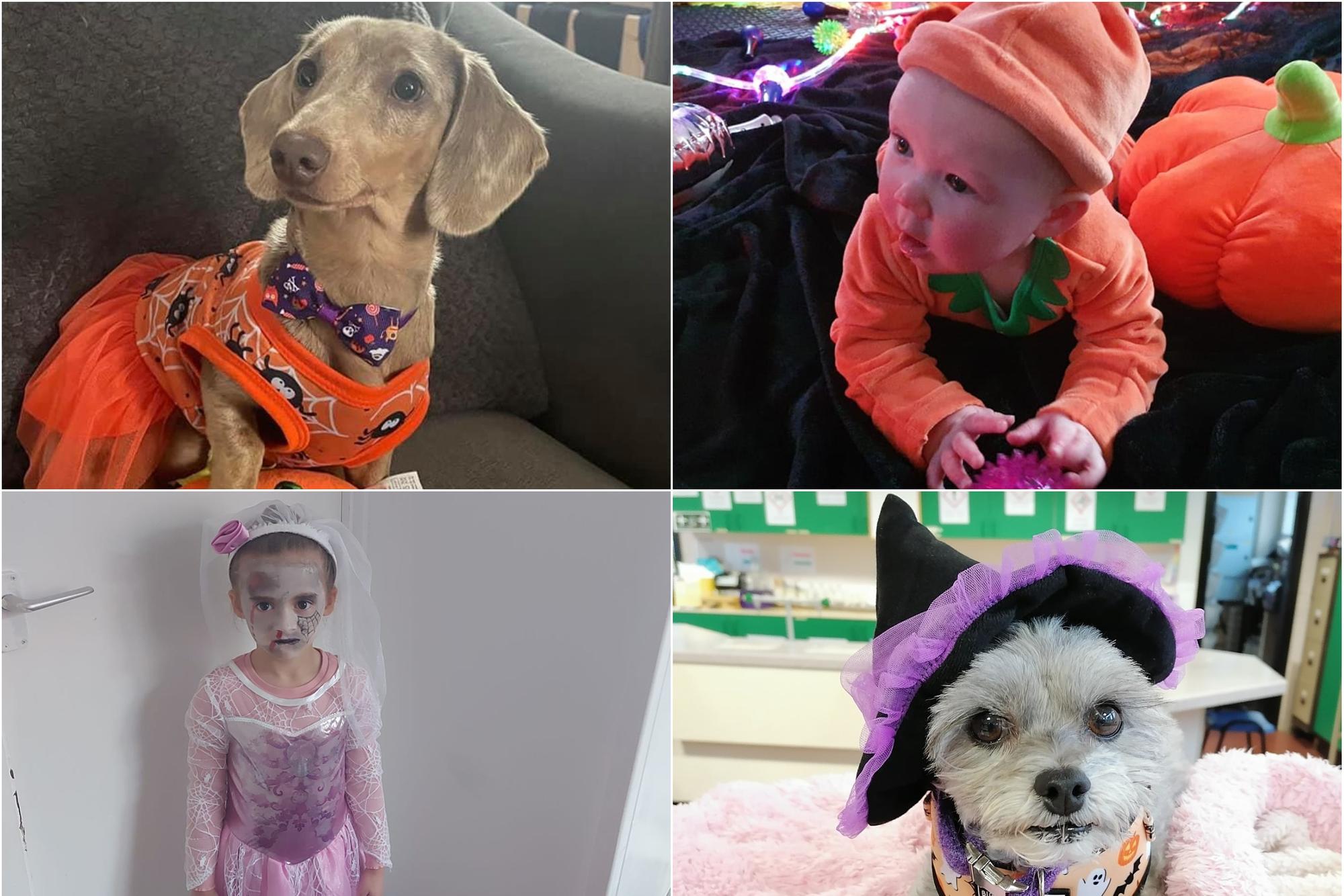 Halloween 2021: Feast your eyes on our first batch of North East Spooky ...