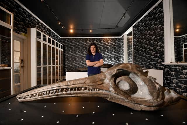 Founder James Hogg with a fossil of a Ichthyosaur thought to be 175 million years old at the newly-opened Yorkshire Natural History Museum on Holme Lane in Malin Bridge, Sheffield (pic: Yorkshire Post / SWNS)